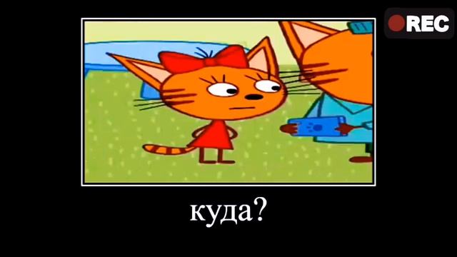 ТРИ КОТА ПОЛНАЯ РЖАКА 🤣🤣🤣  15 минут СМЕХА 😄😄😄 попробуй не засмеяться 😂😂😂