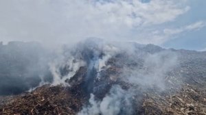 Жители Подмосковья жалуются на запах гари