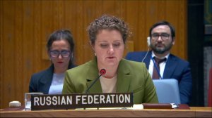 Ответное слово А.М.Евстигнеевой представителю Великобритании на заседании СБ ООН по Украине