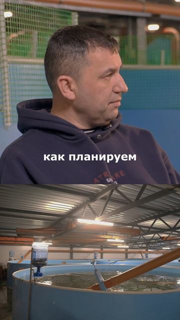Кормление — прибыль. Рыба растёт по плану: +30% в месяц. смотреть онлайн
