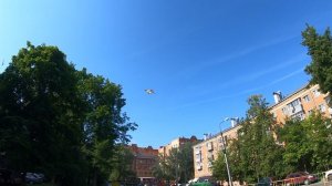 Бабочка BTY 690.30.1 «AURA«_9.06.2026_9:15