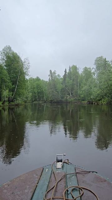 таёжная река в ХМАО-ЮГРА смотреть онлайн