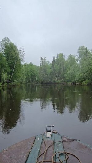 таёжная река в ХМАО-ЮГРА