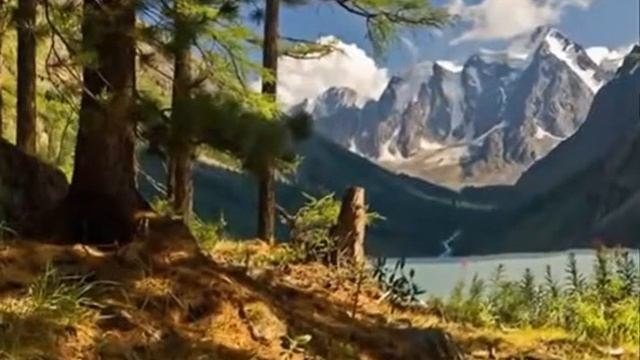 Для Доброслова. В. Шукшин Два письма.