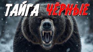 ТАЁЖНАЯ ЖУТКАЯ ИСТОРИЯ. СЛУШАТЬ БЕСПЛАТНО АУДИО КНИГУ. ИСТОРИИ ИЗ ЖИЗНИ.