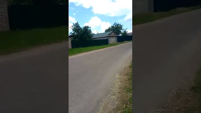 ☆~♤ Влог Гуляю с Зевсом с любимым питомцем☆~♡ смотреть онлайн