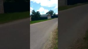 ☆~♤ Влог Гуляю с Зевсом с любимым питомцем☆~♡