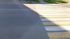 Спасибо дорогие подписчики, гости моего канала! Утреняя прогулка. Доброго утра страна!