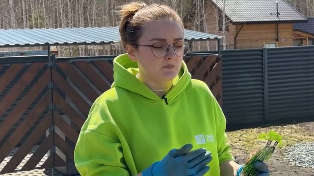 Укроп, петрушка и базилик взойдут дружно...