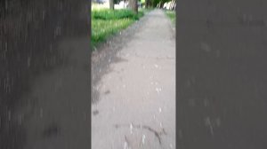 мы в реале!