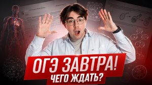 ОГЭ завтра: чего ждать от экзамена?