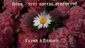 Пион - этот парень непростой