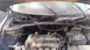 85250.mp4