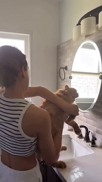 Автор видео: Max_cat_official