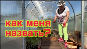 7/6 26 ЖАРА НА ДАЧЕ. ПОСАДИЛА ПЕРЦЫ. ПОДВЯЗАЛА ТОЛСТЯКОВ. КОГДА ОТКИНЕТ КОСТЫЛИ,  ВОЮЕТ С СОРНЯКАМИ.
