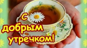 *** «УТРО ДОБРОЕ « - ВЛАДИМИР КОВЫЛИН  ***