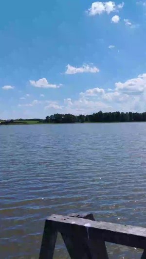 Рыбалка