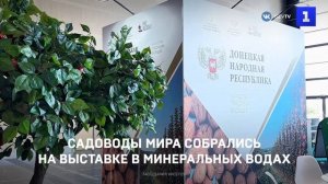 Садоводы мира собрались на выставке в Минеральных Водах