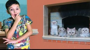 Задание для Артура! Потеряли Любимых Котят! Для детей Kids Children