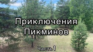 Приключения Пикминов: Часть 1