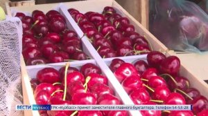 В Кузбасс завезли первую партию черешни из Киргизии