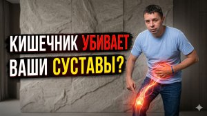 При чем тут живот? Ось «кишечник-сустав»