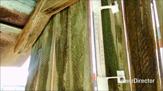 Занимаюсь огородными делами. смотреть онлайн