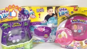 АСМР РАСПАКОВКА чудесных игрушек и разных Сюрприз Боксов 🥰 ТАБА СКВИШИ 🥰