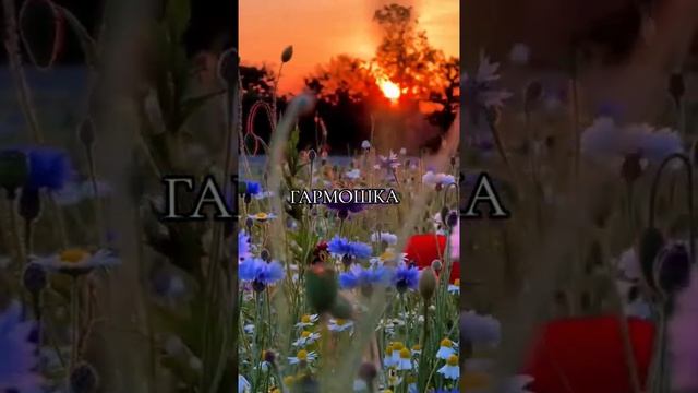для души смотреть онлайн