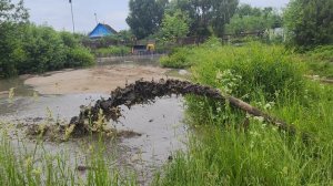 Боцман качает без проблем)