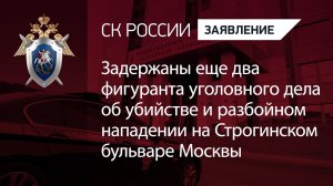 Задержаны еще 2 фигуранта уголовного дела об убийстве на Строгинском бульваре Москвы