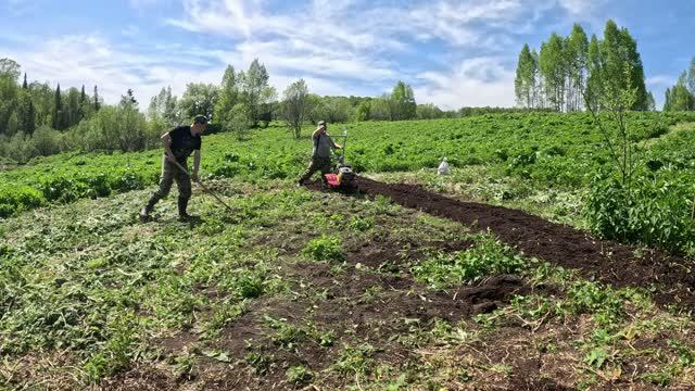 Разрабатываем огород в глухой тайге. Таёжные заботы.