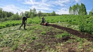 Разрабатываем огород в глухой тайге. Таёжные заботы.
