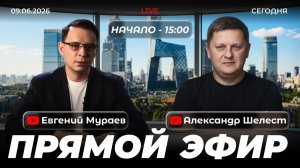 Прямой эфир с Александром Шелестом | 9 июня 2026