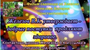 Железов В.К. утверждает - добрые поступки  продляют здоровое.