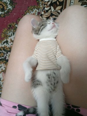 новые участники