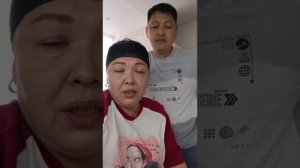 Шиндр Мындр Оправдания куда дели рыжего кота и где черепахи Что и требовалось доказать