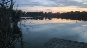 Выходной провели время с младшим