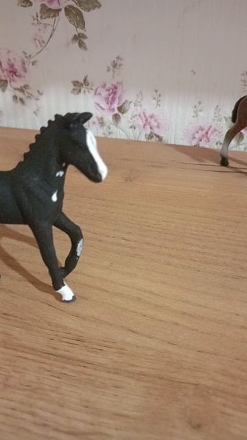 Новинка