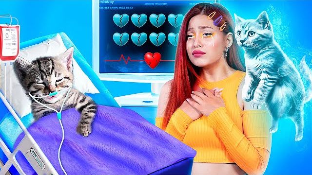 Лайфхаки для владельцев животных! Мы спасли бездомного котенка! смотреть онлайн