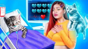 Лайфхаки для владельцев животных! Мы спасли бездомного котенка!