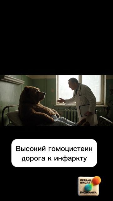 Потапыч не проходил чекап вовремя! #чекап #пшб #иринабаранова