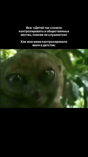 артикул в описании 👇🏻