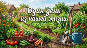 Один день из нашей жизни./Огород.