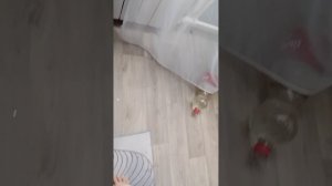 окно...
