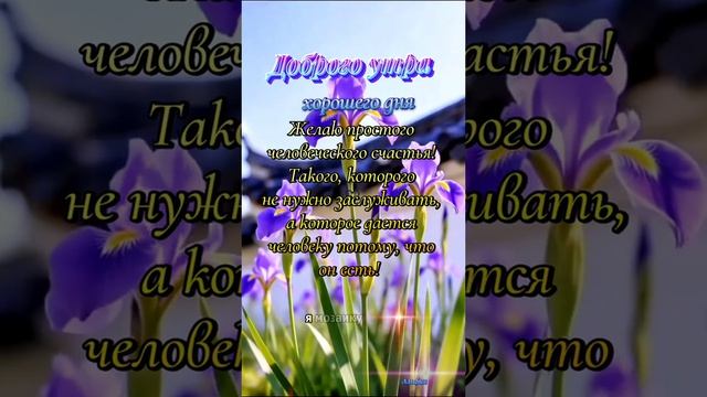 Ещё раз! Доброго утра! 🥰 🥰 🥰 🥰 смотреть онлайн