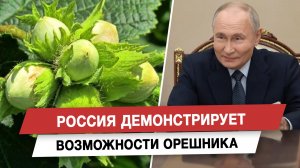 Россия демонстрирует возможности Орешника