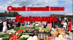 САМЫЙ ГЛАВНЫЙ ПЛЮС ПЕРЕЕЗДА В  КРАСНОДАР