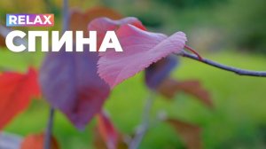 Здоровая спина. RELAX версия | Саблиминал