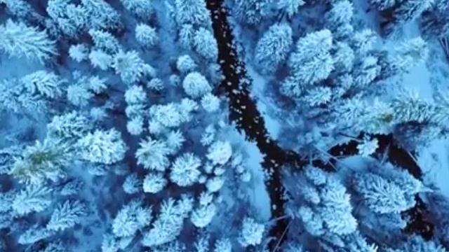 КОМЕДИЯ РОК Память на снегу...